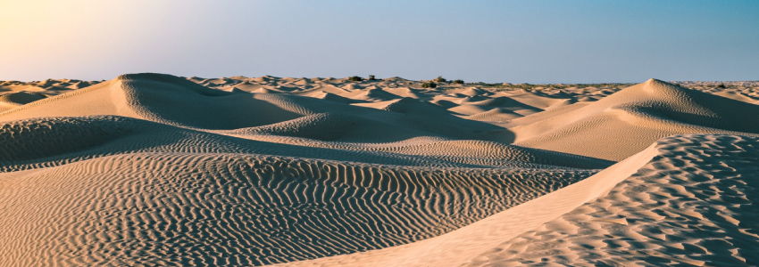 Découvrez les Circuits Sahara Tunisie avec EVO TRIP TUNISIA